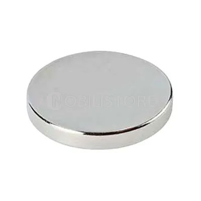 Magnete al neodimio