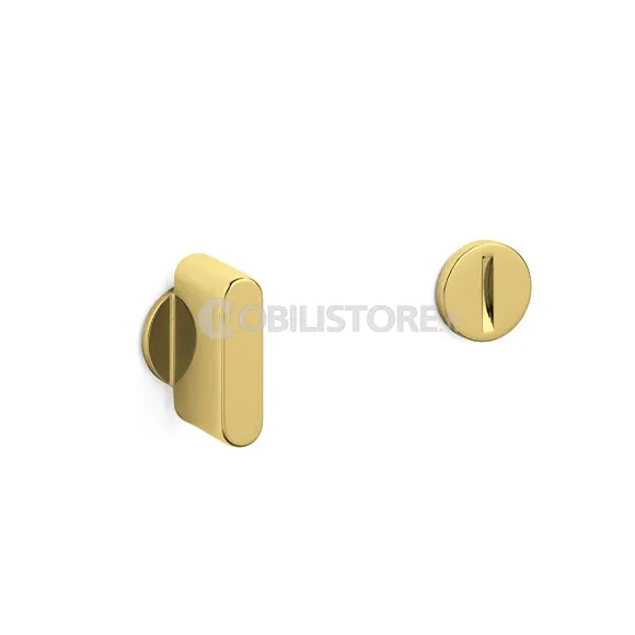 ZL SuperOro lucido/SuperGold bright