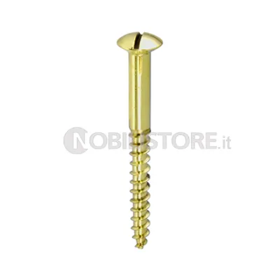 Vite per legno TSC con intaglio ottone