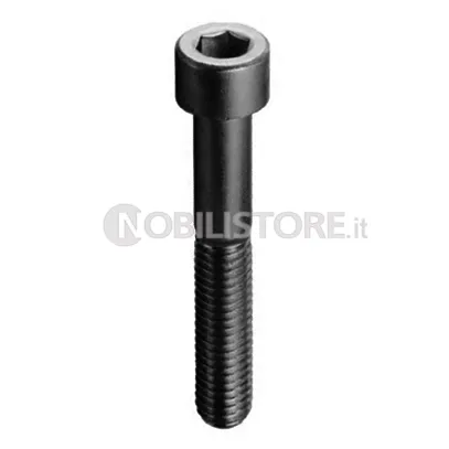 Vite TCE 8.8 UNI 5931 brunita