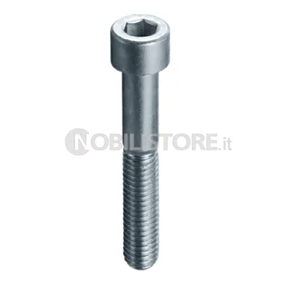 Vite TCE 8.8 UNI 5931 zincata